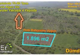 1.896 m2Köye Yakın Hobi Bahçesine Uygun Düz Ceviz Bahçesi