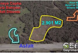 2.901 m2 Asfaltın Dibinde Güneye Cephe Ceviz Bahçesi