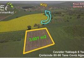 3.001 m2 Köye Yakın Hobi Bahçesine Uygun Düz Ceviz Bahçesi.