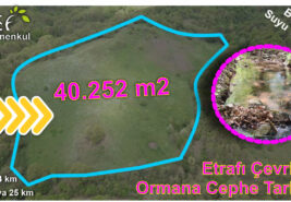 40.252 m2 Etrafı Çevrili Ormana Cephe Tarla.