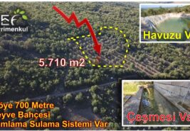 5.710 m2 Köye Yakın Havadar Meyve Bahçesi