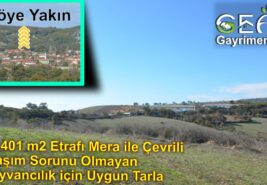 54.401 m2 Etrafı Mera ile Çevrili Ulaşım Sorunu Olmayan Tarla.