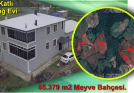 85.379 m2 Meyve Bahçesi.