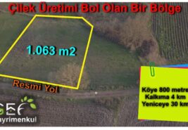 1.063 m2 Resmi Yolu Olan Çaya Yakın Dümdüz Tarla