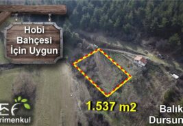 1.537 m2 Anayola Yakın Yol ve Su Sorunu Olmayan Tarla