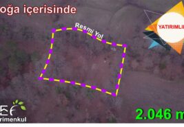 2.064 m2 Ormanın İçerisinde Köye Yakın Su Sorunu Olmayan Tarla