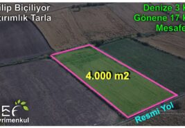 📌 4.000 M2 YATIRIMLIK İçinde Buğday Ekili Resmi Yola Cephe TARLA