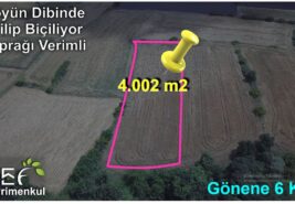 📌 4.002 M2 Elektrik ve Su Problemi Olmayan içinde Buğday Ekili Olan TARLA