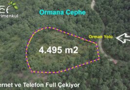 4.495 m2 Ormana Cephe Yol ve Su Sorunu Olmayan Tarla