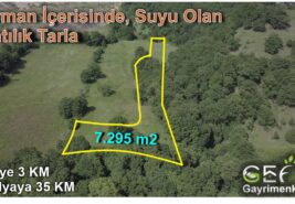 7.295 m2 Yol ve Su Sorunu Olmayan Arkası Ormana Dayalı Tarla