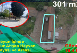 301 m2 Köyün İçinde Düz Ahşap Hayvan Sayası ve Arsası