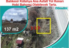 137 m2 Yol Kenarı Hobi Bahçesi Olabilecek Tarla