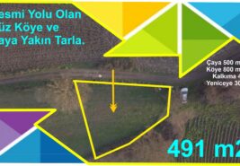 491 m2 Resmi Yolu Olan Düz Köye ve Çaya Yakın Tarla