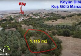 📌1.115 m2 Kuş Gölü Manzaralı, Köyün Dibinde Tarla