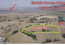 📌 13.565 M2 Elektrik Sorunu Olmayan Buğday Ekili TARLA