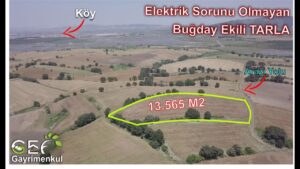 📌 13.565 M2 Elektrik Sorunu Olmayan Buğday Ekili TARLA