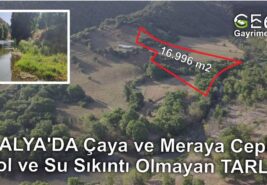 📌 16.996 m2 BALYA’DA Çaya ve Meraya Cephe Yol ve Su Sıkıntı Olmayan TARLA