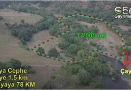 📌 17.000 m2 Çaya Cephe Dümdüz TARLA