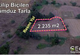 📌 2.235 m2 resmi Yola Cephe Elektriği Olan Tarla