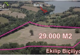 📌 29.000 M2 Barajın Dibinde Ekilip Biçilen TARLA