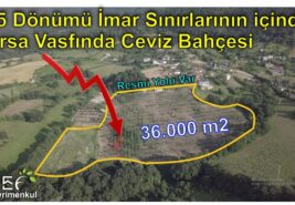 📌 36.000 M2 Resmi Yolu Olan 15 Dönümü İmar Sınırlarının içinde Arsa Vasfında Ceviz Bahçesi | GÖNEN