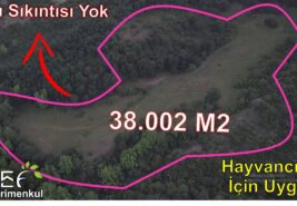 📌 38.002 M2 Hayvancılık İçin Uygun Su Sıkıntısı Olmayan TARLA