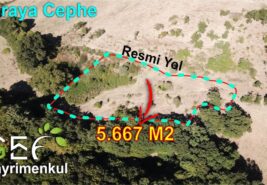 📌 5.667 m2 Meraya Cephe Su Sorunu Olmayan Tarla