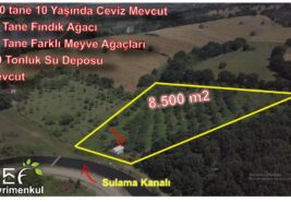 📌 8.500 M2 Suyu ve Yolu Olan 260 Ağaçlık CEVİZLİK