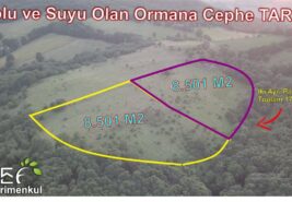 📌 8.501 m2 Yolu ve Suyu Olan Ormana Cephe TARLA