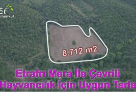 📌 8.712 m2 Etrafı Merayla Çevrili Derenin Dibinde TARLA