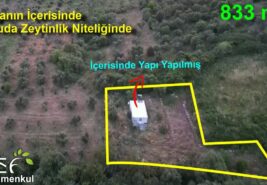 📌833 m2 İçerisinde Yapı Olan Doğanın İçerisinde Zeytinlik BANDIRMA / BALIKESİR