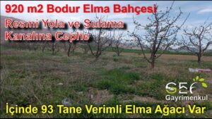 📌920 m2 Resmi Yola ve Sulama Kanalına Cephe, Bodur Elma Bahçesi / ISPARTA
