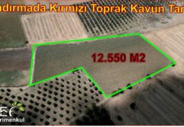 📌12.550 m2 Bandırmada Kırmızı Toprak Kavun Tarlası