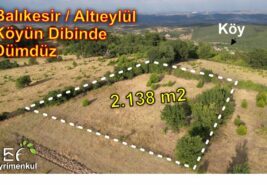 📌2.138 m2 Balıkesir / Altıeylülde Köyün Dibinde Dümdüz Tarla