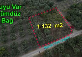 1.132 m2 Resmi Yolu Olan Su Sıkıntısı Olmayan Dümdüz BAĞ