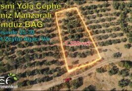 1.280 m2 Resmi Yola Cephe Deniz Manzaralı BAĞ