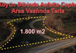 1.800 m2 Köyün Dibinde Asfalt Yola Cephe Arsa Vasfında TARLA