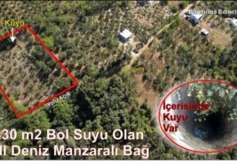 1.830 m2 Kendi Kuyusu Olan Full Deniz Manzaralı BAĞ