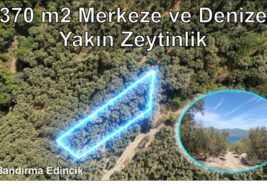 370 m2 Merkeze ve Denize Yakın Zeytinlik