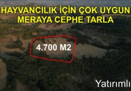 4.700 m2 Meraya Cephe Hayvancılık İçin Uygun Yatırımlık TARLA