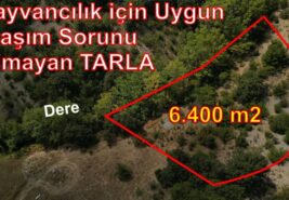 6.400 m2 Hayvancılık için Uygun Ulaşım Sorunu Olmayan TARLA