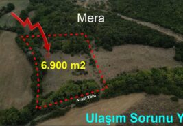 6.900 m2 Hayvancılık İçin Uygun Ormana Cephe TARLA