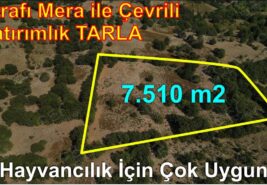 7.510 m2 Etrafı Mera ile Çevrili Yatırımlık TARLA