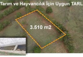 3.510 m2 Tarım ve Hayvancılık İçin Uygun TARLA