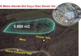 5.665 M2 ORMANA CEPHE ULAŞIM VE SU SORNU OLMAYAN TARLA